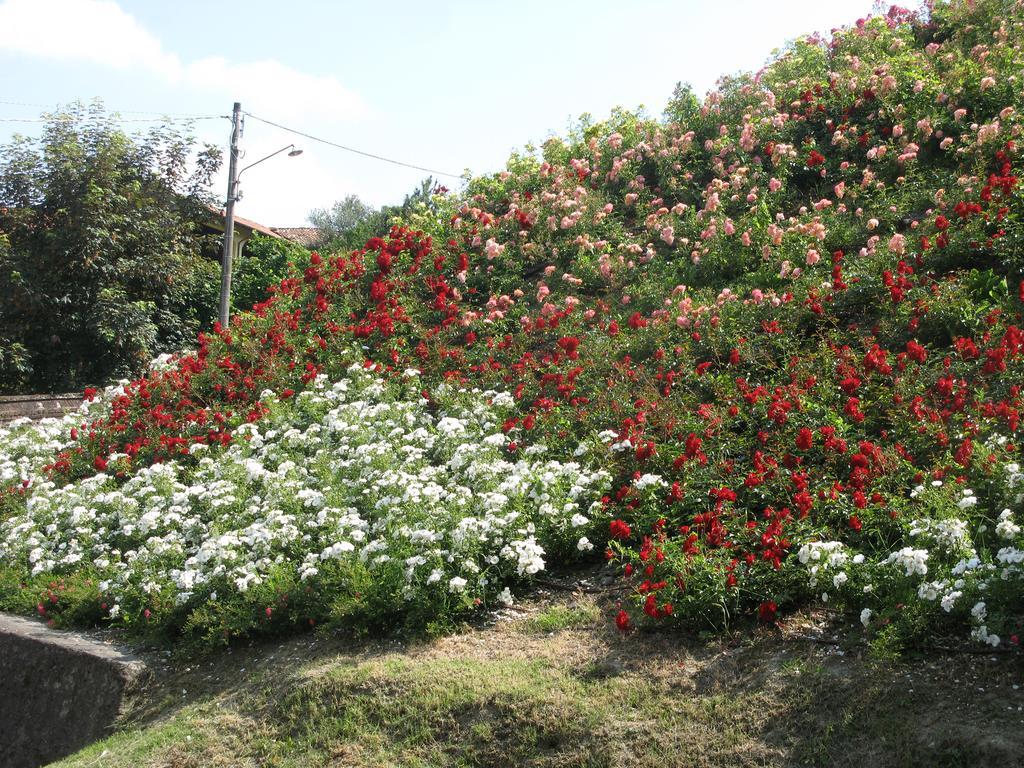 Solonghello Locanda Dell'Arte מראה חיצוני תמונה